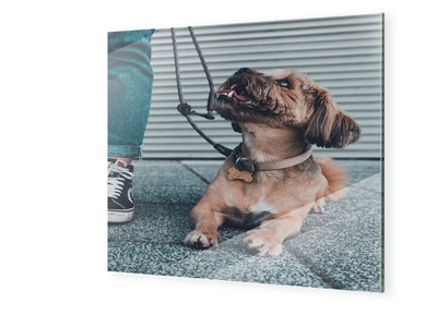 myposter, Glasbild quadratisch im Format 30 x 30 cm, 