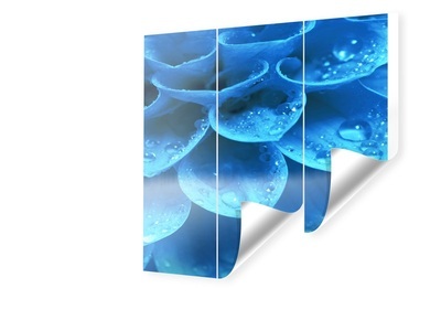myposter, Foto auf Fototapete im Format 90 x 90 cm quadratisch im Format 90 x 90 cm, Foto auf Fototapete im Format 90 x 90 cm quadratisch im Format 90 x 90 cm