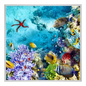 myposter, Poster im Bilderrahmen Aluminium eckig in silber quadratisch im Format 70 x 70 cm, 