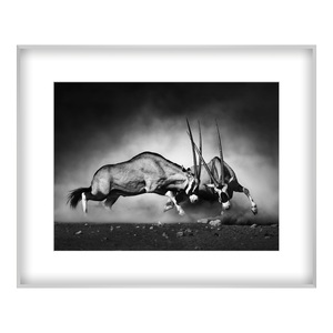 myposter, Foto auf Hahnemühle Papier im Rahmen Alu eckig in silber im Format 60 x 40 cm, 