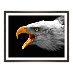 myposter, Poster im Holzbilderrahmen gemasert in braun im Format 60 x 50 cm, 