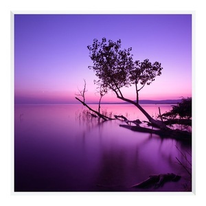 myposter, Foto auf Hahnemühle Papier im Rahmen Alu eckig in weiß im Format 75 x 50 cm, 