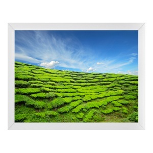 myposter, Fotodruck auf hochwertiges Papier im Fotorahmen Alu in weiß im Format 18 x 13 cm, 
