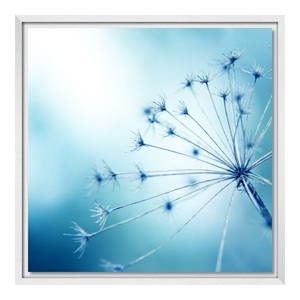 myposter, Poster Leinwand im Schattenfugen Rahmen Gemasert für Fotos auf Leinwand in weiß DIN Format im Format 59,4 x 42 cm, 