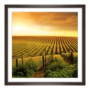myposter, Panoramaposter im Rahmen aus Holz gemasert in braun als Panorama im Format 60 x 20 cm, 