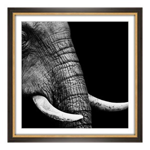myposter, Foto auf Künstlerpapier im Rahmen Holz antik in schwarz mit gold im Format 64 x 36 cm, 