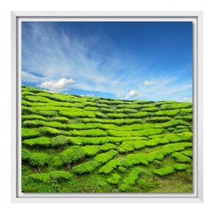 myposter, Forexbilder im Schattenfugen Rahmen in weiß DIN Format im Format 29,7 x 21 cm, 
