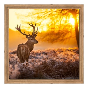 myposter, Foto auf Acrylglas im Format 50 x 40 cm im Schattenfuge Platte im Format 50 x 40 cm, im Format 50 x 40 cm, Foto auf Acrylglas im Format 50 x 40 cm im Schattenfuge Platte im Format 50 x 40 cm, im Format 50 x 40 cm