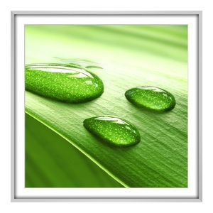 myposter, Print auf Hahnemühle im Bilderrahmen Aluminium eckig in silber quadratisch im Format 23 x 23 cm, 