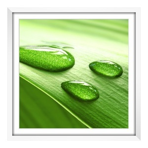 myposter, Giclée Druck im Rahmen aus Holz in weiß als Panorama im Format 90 x 30 cm, 