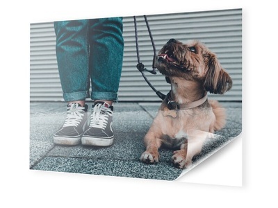 myposter, Foto auf Klebefolie im Format 160 x 120 cm im Format 160 x 120 cm, Foto auf Klebefolie im Format 160 x 120 cm im Format 160 x 120 cm