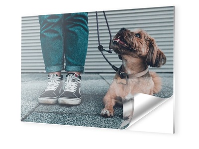 myposter, Photo auf Forex im Format 32 x 18 cm, 