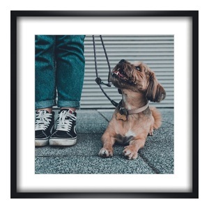 myposter, Foto auf Poster im Format 70 x 70 cm im Holzrahmen im Format 70 x 70 cm, schwarz in schwarz quadratisch im Format 70 x 70 cm, Foto auf Poster im Format 70 x 70 cm im Holzrahmen im Format 70 x 70 cm, schwarz in schwarz quadratisch im Format 70 x 70 cm