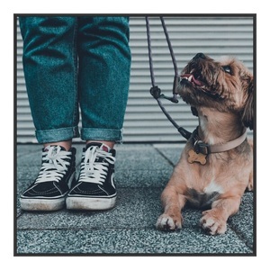 myposter, Foto auf Acrylglas im Format 50 x 40 cm im Artbox im Format 50 x 40 cm, schwarz in schwarz im Format 50 x 40 cm, Foto auf Acrylglas im Format 50 x 40 cm im Artbox im Format 50 x 40 cm, schwarz in schwarz im Format 50 x 40 cm