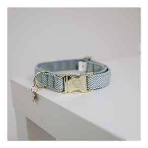 Kentucky Dogwear, Kentucky Dogwear Hundehalsband Wool - hellblau, 