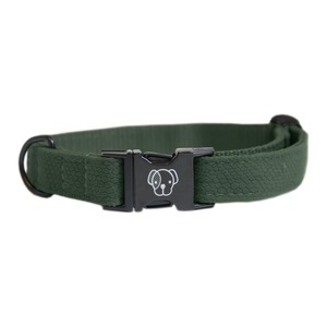 Kentucky Dogwear, Kentucky Dogwear Hundehalsband Lizard - grün, 