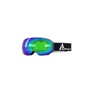 Albright, Magnetic Skibrille, 