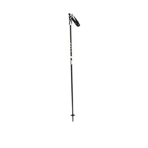 Albright, Speed Skistock, 