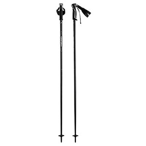 Head, Frontside Skistock, 