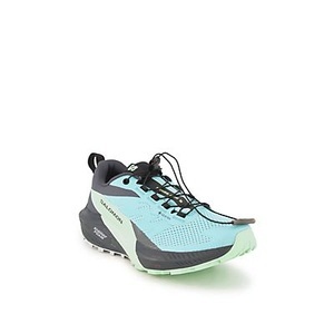Salomon, Salomon Damen Sense Ride 5 GTX Schuhe, Sense Ride 5 GTX Trailrunningschuhe
