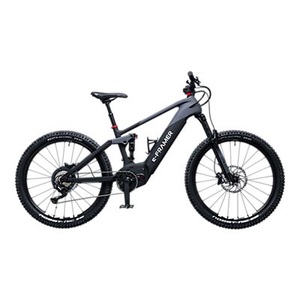 e-Framer, Rigi E-Mountainbike, Rigi E-Mountainbike