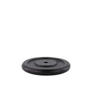 Powerzone, 1 x 20 kg Hantelscheibe, 1 x 20 kg Hantelscheibe