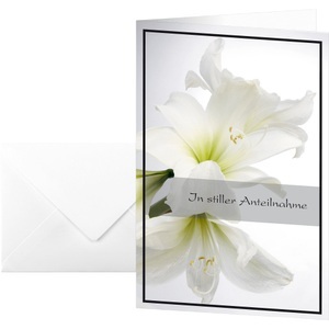 Sigel, Trauerkarte Weiße Amaryllis, 10 Stück, Sigel Trauerkarte DS006 DIN A6 220 g/m² Sortiert 10 Stück