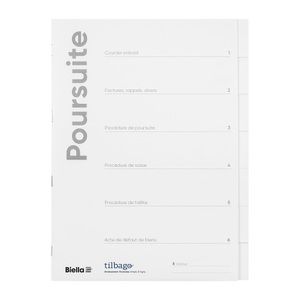 undefined, Biella - 5er-Set Betreibungsmappen A4 6lg Karton D, weiss, Biella Betreibungsmappe, A4, FR weiss, 6-teilig, Karton, 3310206.91