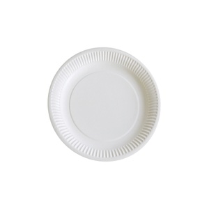 PAPSTAR, PAPSTAR Pappteller 23 cm Weiß 100 Stück, PAPSTAR Pappteller 23 cm Weiß 100 Stück