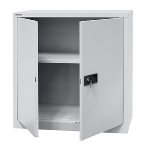 Bisley, BISLEY Flügeltürschrank, Höhe 1.000 mm, BxT 914 x 400 mm, lichtgrau, Böden lackiert