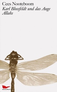 undefined, Karl Blossfeldt und das Auge Allahs, Karl Blossfeldt und das Auge Allahs