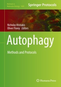 undefined, Autophagy, 