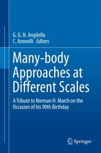 undefined, Many-body Approaches at Different Scales, 