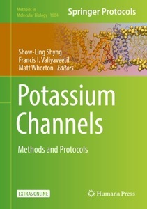 undefined, Potassium Channels, 