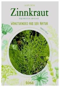 undefined, Zinnkraut, Zinnkraut