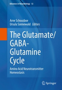 undefined, The Glutamate/GABA-Glutamine Cycle, 