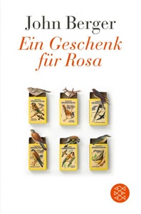 FISCHER Taschenbuch, Ein Geschenk für Rosa, Ein Geschenk für Rosa