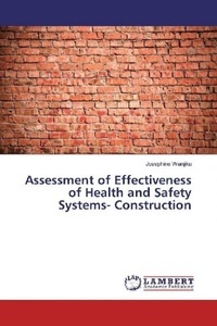 undefined, Assessment of Effectiveness of Health and Safety Systems- Construction, 