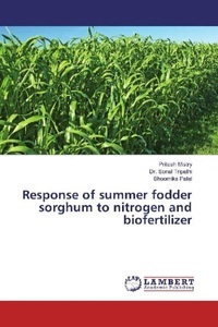 undefined, Response of summer fodder sorghum to nitrogen and biofertilizer, 