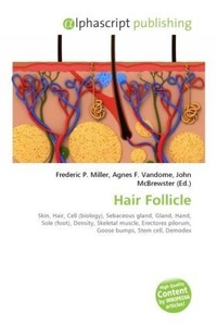 undefined, Hair Follicle, 