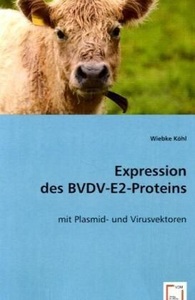 undefined, Expression des BVDV-E2-Proteins, Köhl, W: Expression desBVDV-E2-Proteins