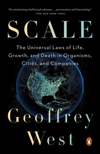 undefined, Scale, Scale