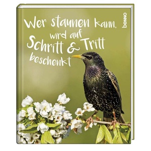undefined, Wer staunen kann, wird auf Schritt & Tritt beschenkt, Geschenkbuch »Wer staunen kann, wird auf Schritt & Tritt beschenkt«