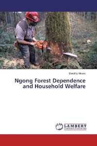 undefined, Ngong Forest Dependence and Household Welfare, 