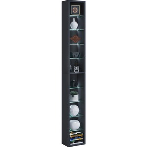 MID.YOU, MID.YOU Standregal 21/152/20 cm schwarz , Rasato Xl , Glas , 8 Fächer , 21x152x20 cm , melaminharzbeschichtet,Nachbildung , 000657018208, VCM - Holzregal stehend | platzsparender CD-Schrank Elegantes DVD-Regal Blu-Ray Regal CD Rasato, One Size, Schwarz