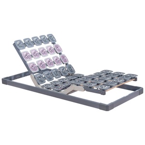 Tempur, Tempur Lattenrost 80/200 cm , Premium Flex 3000 , Holz , Buche,Buche , 80 cm , foliert,foliert , Über- und Sondergrössen erhältlich, Schulterabsenkung, Federholzleisten verleimt, Tellerauflagen, verstellbar, Motorverstellung, alternative Grössen , Tempur Lattenrost 80/200 cm , Premium Flex 3000 , Holz , Buche,Buche , 80 cm , foliert,foliert , Über- und Sondergrössen erhältlich, Schulterabsenkung, Federholzleisten verleimt, Tellerauflagen, verstellbar, Motorverstellung, alternative Grössen 