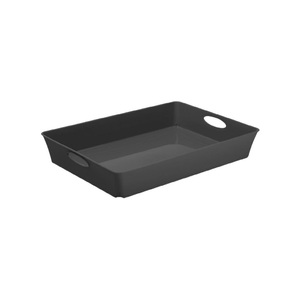 Rotho, Rotho - Aufbewahrungsbox Living Box C4 / 4.5 l Anthrazit, Allzweckbox 4.5L, C4, anthraz