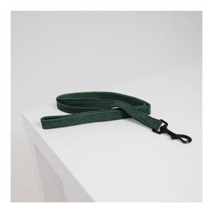 Kentucky Dogwear, Kentucky Dogwear Hundeleine Lizard - grün, 