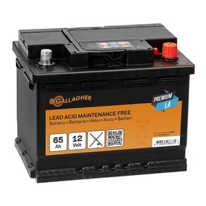 Gallagher, Gallagher Weidezaunakku 12V/65Ah Premium LA, Gallagher Weidezaunakku 12V/65Ah Premium LA