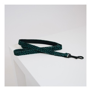 Kentucky Dogwear, Kentucky Dogwear Hundeleine Leopard - grün, 